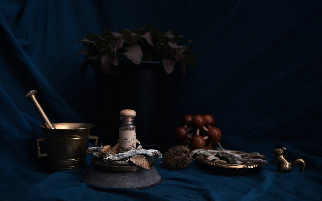 Harm Reduction Guidelines & Psychedelic Experiences