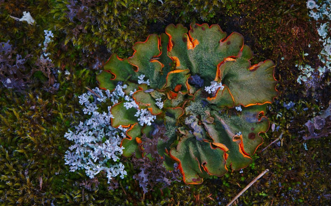 Group Work at Gather Well