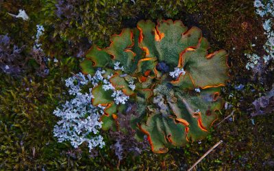 Group Work at Gather Well